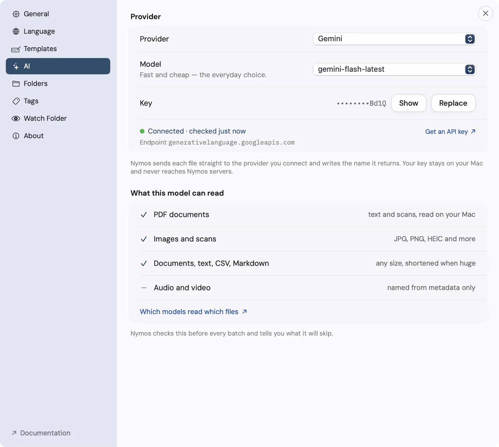 The AI settings tab connected to Gemini, showing the saved key, the endpoint, and a capability list of what the model can read